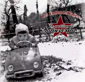 Couverture du produit · Les Embouteillages - Le Meilleur De Sanseverino