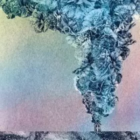 Couverture du produit · Carnation