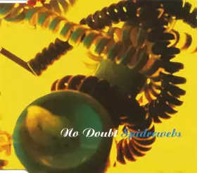 Couverture du produit · Spiderwebs