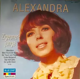 Couverture du produit · Zigeunerjunge