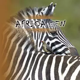 Couverture du produit · Africa Zen