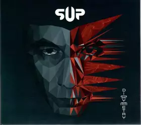 Couverture du produit · Dissymmetry