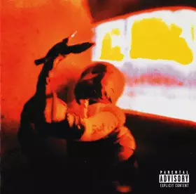 Couverture du produit · DownTheSun