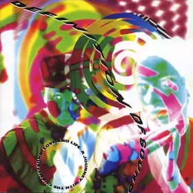 Couverture du produit · Love & Life - A Journey With The Chameleons