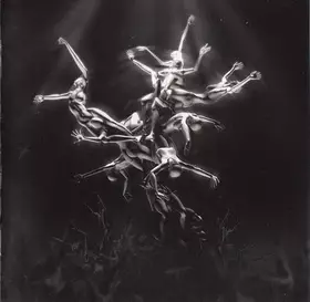 Couverture du produit · The Silver Tree