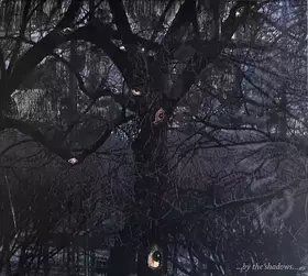 Couverture du produit · ...By The Shadows...