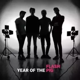 Couverture du produit · Year Of The Pig