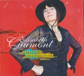 Couverture du produit · Princesse Micomiconne