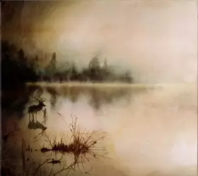 Couverture du produit · Berdreyminn