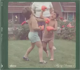 Couverture du produit · Flying Dream 1