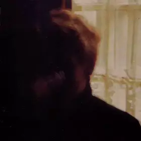 Couverture du produit · Palace Brothers