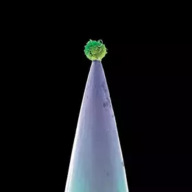 Couverture du produit · New Blood