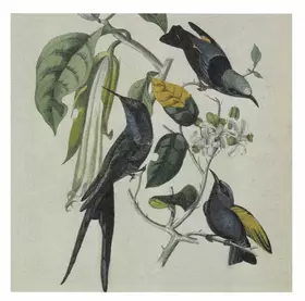 Couverture du produit · Sakura