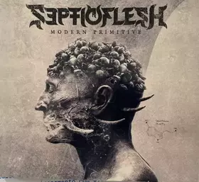 Couverture du produit · Modern Primitive