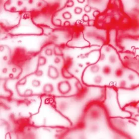 Couverture du produit · Remember The Life Is Beautiful