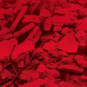 Couverture du produit · Dream A Garden