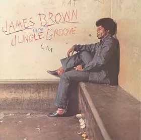 Couverture du produit · In The Jungle Groove