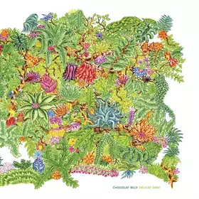 Couverture du produit · Délicat Déni