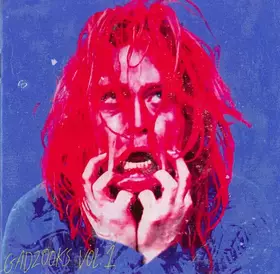 Couverture du produit · Gadzooks Vol. 1