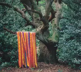 Couverture du produit · The Animal Spirits