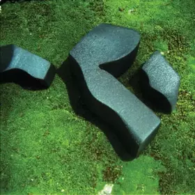 Couverture du produit · Heart Pressed Between Stones