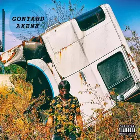 Couverture du produit · Akene