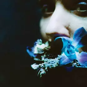 Couverture du produit · Reaching for Indigo