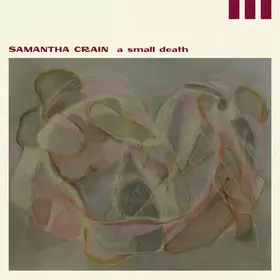 Couverture du produit · A Small Death