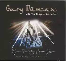 Couverture du produit · When The Sky Came Down (Live At The Bridgewater Hall, Manchester)