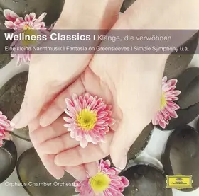 Couverture du produit · Wellness Classics (Klänge, Die Verwöhnen)
