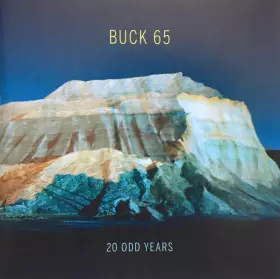 Couverture du produit · 20 Odd Years