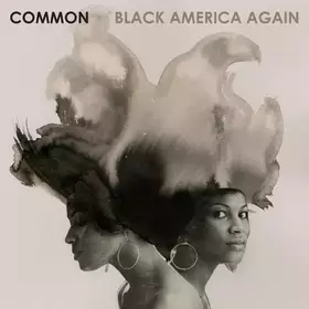 Couverture du produit · Black America Again