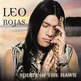 Couverture du produit · Spirit Of The Hawk