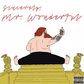 Couverture du produit · Mr. Wonderful