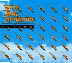Couverture du produit · Flying