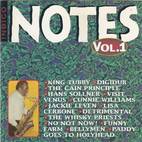 Couverture du produit · Indigo Notes Vol. 1