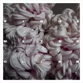 Couverture du produit · Metabolism