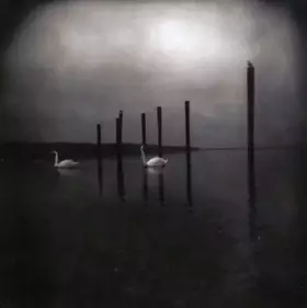 Couverture du produit · Conference of the Birds