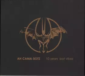 Couverture du produit · 10 Years Bat Vibez