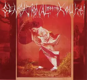 Couverture du produit · Sensational Meets Kouhei