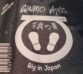 Couverture du produit · Big In Japan