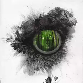 Couverture du produit · Emerald Forest And The Blackbird