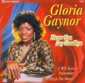 Couverture du produit · Never Can Say Goodbye