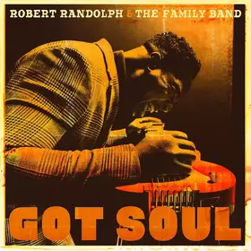 Couverture du produit · Got Soul