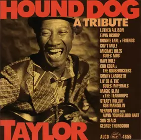 Couverture du produit · Hound Dog Taylor (A Tribute)