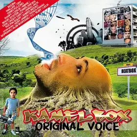 Couverture du produit · Original Voice