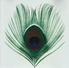 Couverture du produit · Apple Venus Volume 1