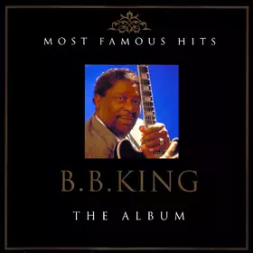 Couverture du produit · Most Famous Hits B.B. King The Album