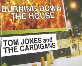 Couverture du produit · Burning Down The House