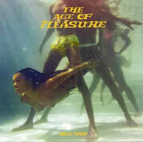 Couverture du produit · The Age Of Pleasure